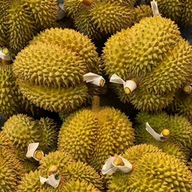 膨化;方便面类;节庆用品