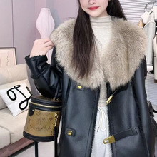 Ƥ������Ů�¿������I��ů�C܇�ﶬ����ë2025���ëƤëһ�w�r��