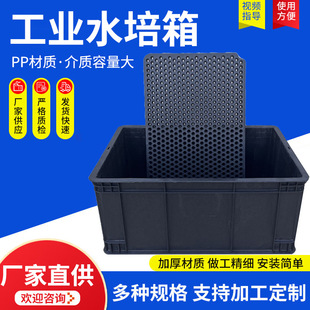 Դ�^�S�Ҷ��ƼӺ�ѿ�lѿ����ѿ����P�����߲˶�������P������