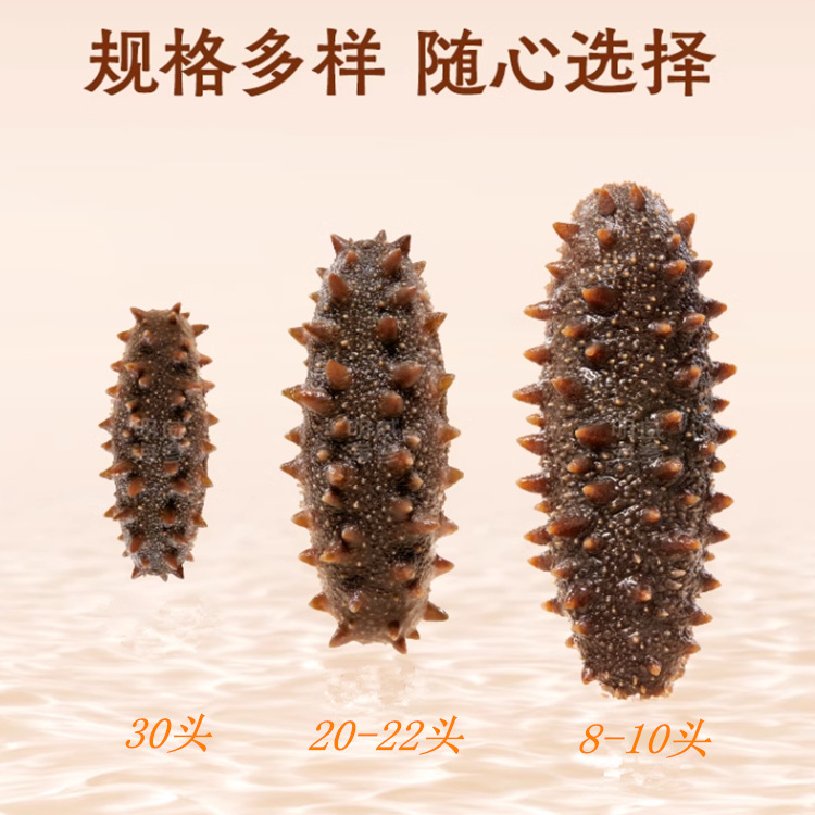 批发即食鲜食海参 刺参威海刺参一件代发