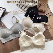 �¼��b2808�̶���Ҭ������������Ĩ��V�I���{�����玧�o��Ů����