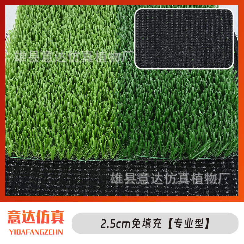 2.5cm 무채우기 [프로페셔널 타입]