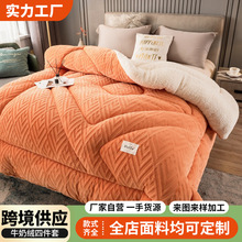 新款跨境亲肤舒适牛奶绒纯色被子家用保暖加厚羊羔绒单双人冬被