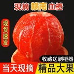 【赣州果园直供】赣南血橙水果薄皮红心橙子10斤批发精品鲜果现发