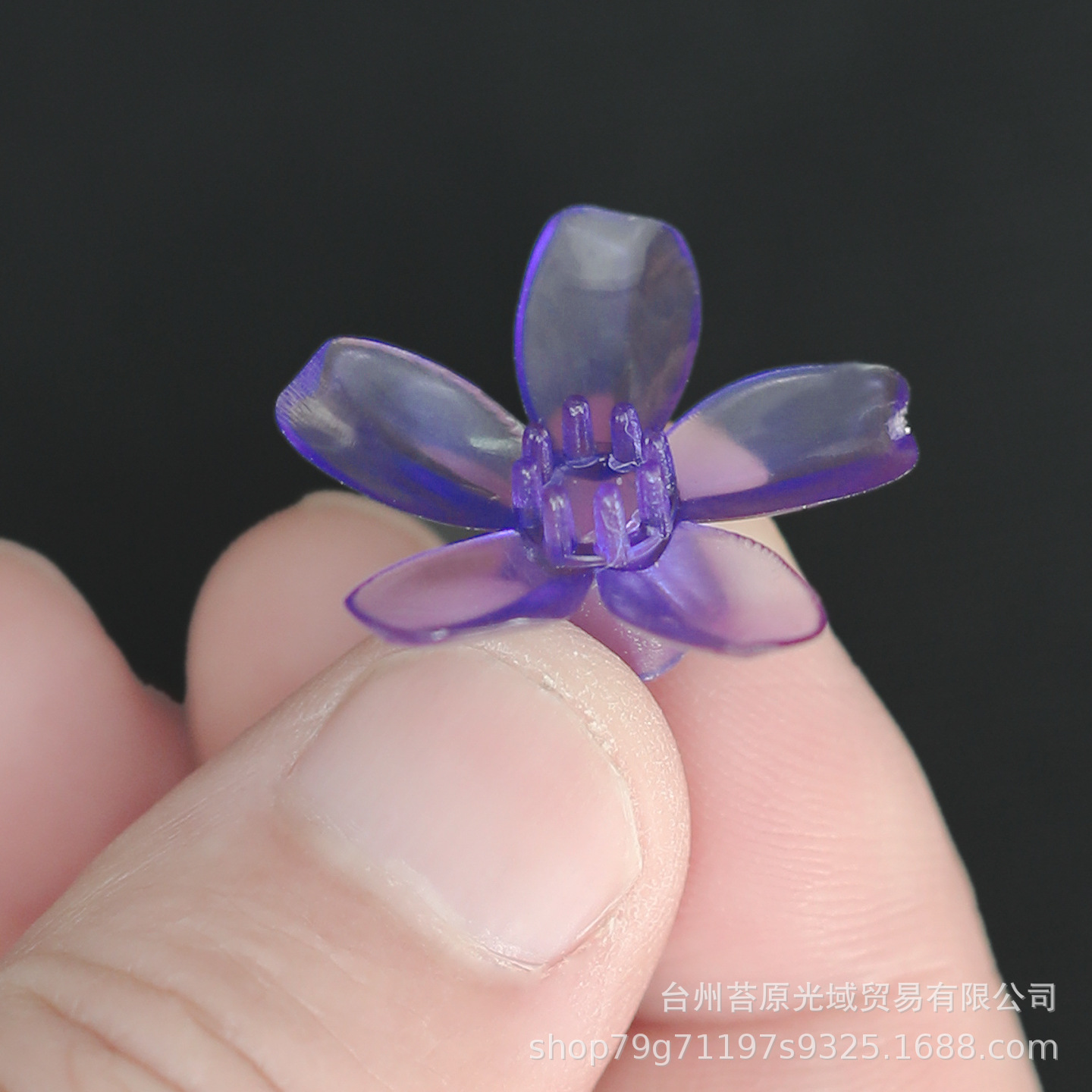 蓝色小樱花3.JPG.jpg