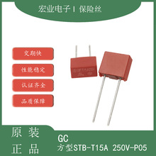 GC STB ���� �ܷ� ���ʽ ���� 250V�Դ���U�z T15A 250V P5