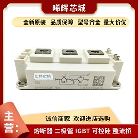 普通晶闸管;IGBT模块;其他二极管