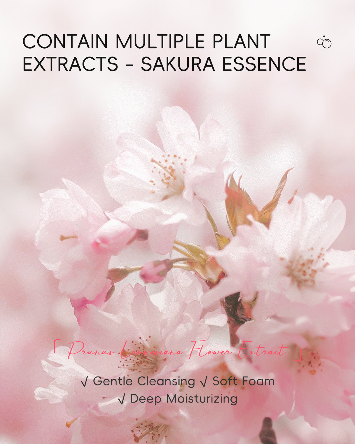 The new cross-border product LAIKOU Moisturizing and Cleaning Cherry Blossom Handmade Soap 110g is in stock and available for wholesale from the manufacturer. It comes in English packaging undefined
