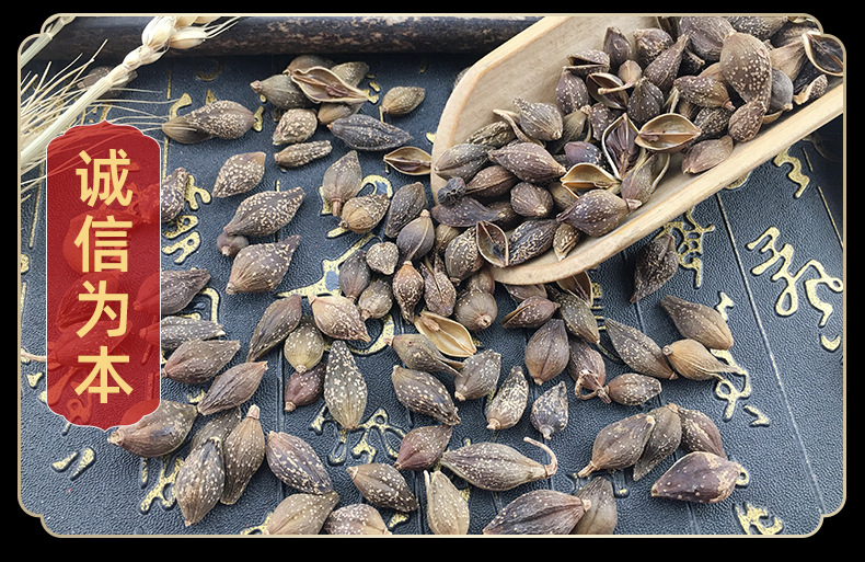 Dried Forsythia Fruit Lian Qiao Bulk Wholesale Qing Qiao Raw Herb 500g in use