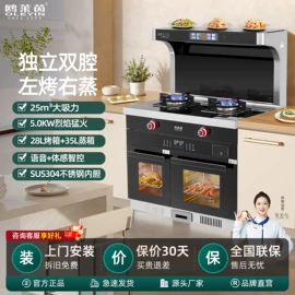 抽油烟机;燃气灶具;洗碗机