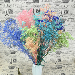 Everlasting Flower Bouquet with Fantasy Flowers, 100g/Bundle, Dry Flower Bouquet Birthday Gift for Others, Real Flower Gift Box