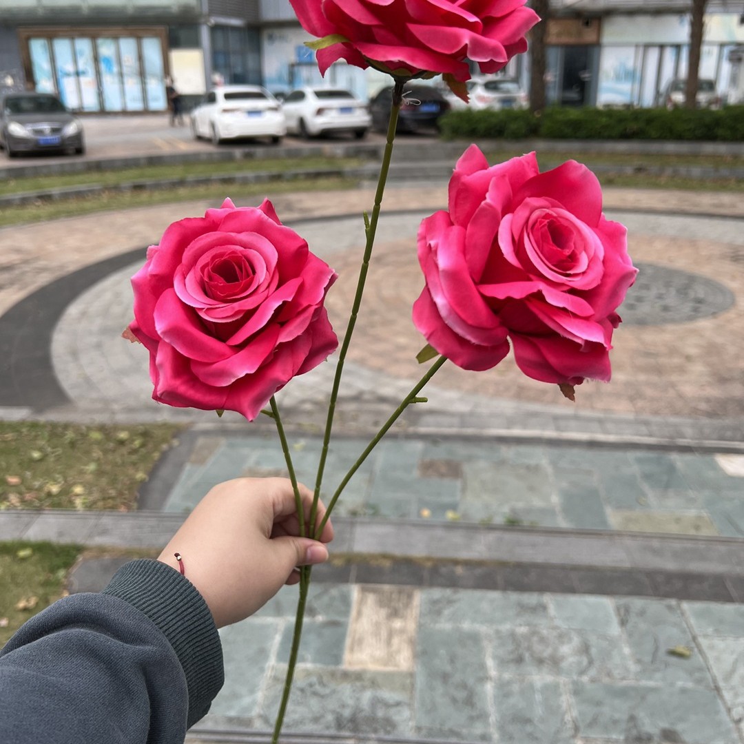 3-Cabeza de ángulo laifei rosa roja