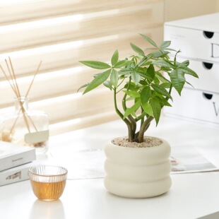 ����ֲ�����ԑ��˃����՚��҃Ȼ��ܿ͏d�k���ҾGֲ���W�L�¼�