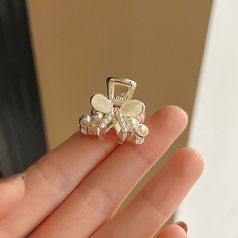 Pajarita de ojo de gato-dorado