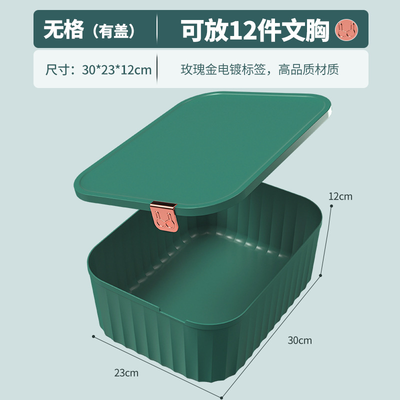 Caja Organizadora de Ropa Interior con Tapa de Plástico Con Compartimentos para el Hogar image 14