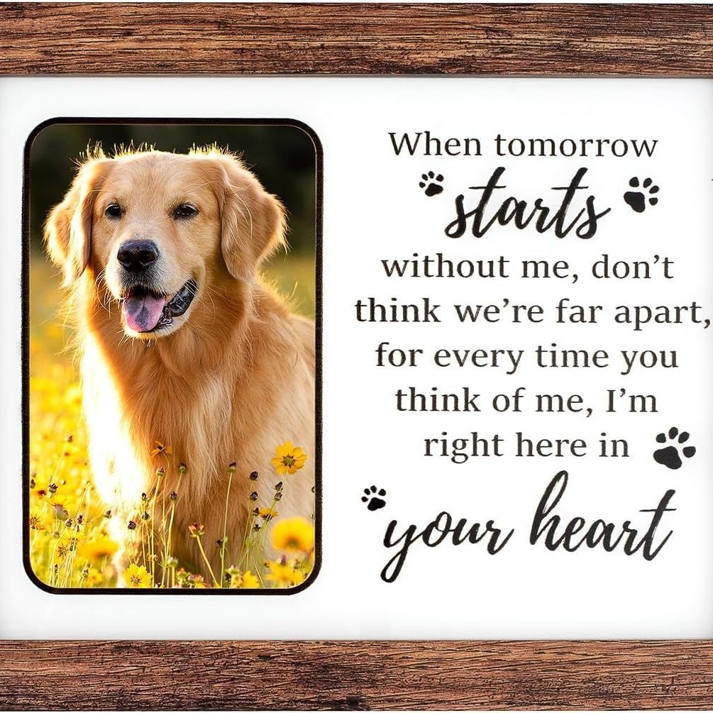 Creativo luminoso de madera para mascotas marco de fotos conmemorativo gato perro Mesa conmemorativa marco de fotos