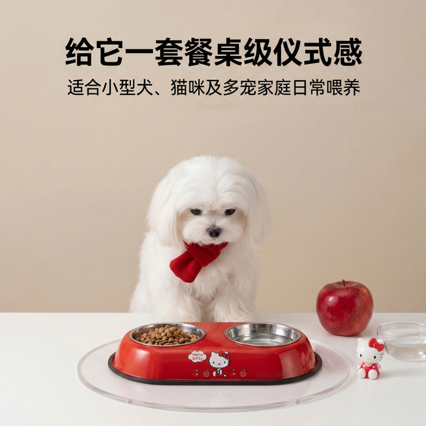 Sanliogou 304 acero inoxidable doble tazón para mascotas tazón para gatos tazón para perros tazón de arroz de agua y alimentos anti-derramamiento