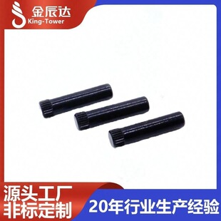 ����304���P䓝L���A���N��S����N����B�ӗU��λ�N�L���N�S