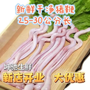 ��S���]3�����r�i��ȥ���i������r���iС���i��o��������ʳ��