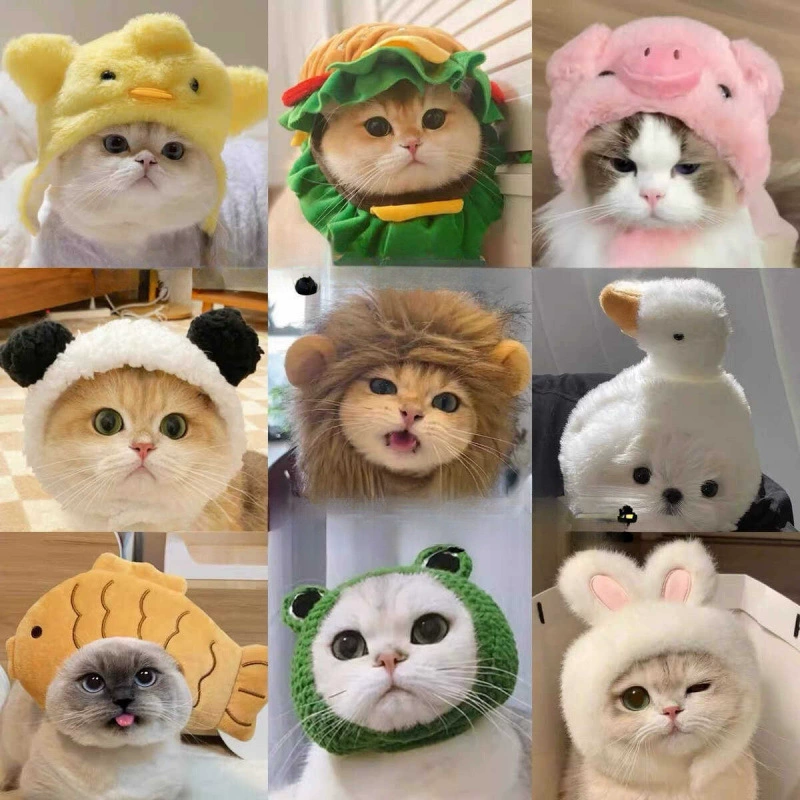 Милый и забавный костюм кошки, шляпа для домашних животных, золотой градиент, британский короткий немецкий головной убор для собаки, бургер, мультяшный головной убор, бесплатная доставка