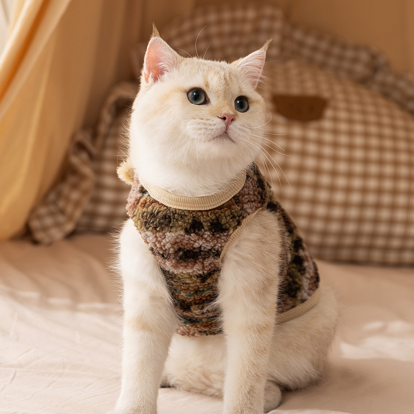 Otoño y invierno nuevo cardigán chaleco de dibujos animados tridimensionales oso abrigo abrigo abrigo abrigo perro gato ropa perro pequeño y mediano Teddy