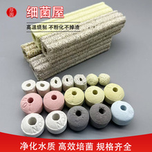 ~^VĔп~ʯӢˮմɭhl