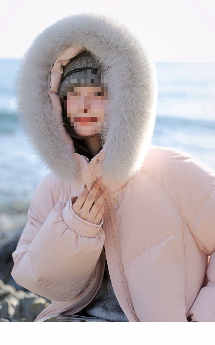 분홍색