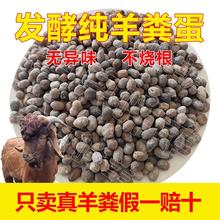 ������S���w����S�l���ЙC���ϷN�˷N������l�ͷʸ���ֲ��ͨ��