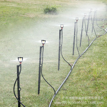 NADSTER/�͵�˹��360&deg;�F�����^���b�@�֝���G��ֲ��܇��F��