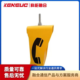 网络电话机;声讯系统;可视对讲