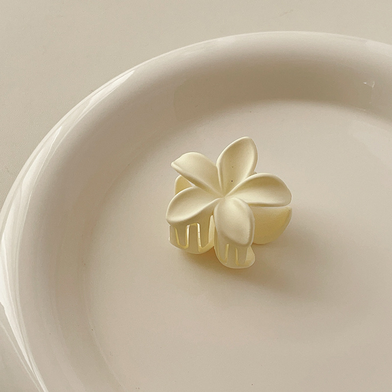 Elegant Lady Women's Flower Fish Shark Plastic Hair Clip Hair Claws display picture 17