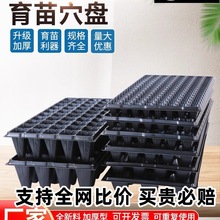 ���l����PѨ�P������������߲�������������������ľ����������