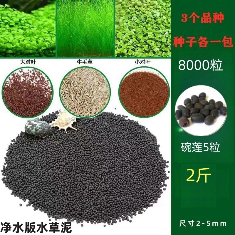 [핫세일] 워터그라스머드 1.0kg - 크고 작은 잎 쌍 + 소털 8000개 + 그릇연꽃 5개