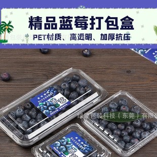 Disposable Pet Transparent 250g Blueberry Packaging Box Supermarket Blueberry Raspberry Factory Direct Sales Packaging Blueberry Box