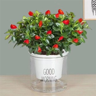 �ļ�������~�����m�����҃ȾGֲ���ܶ���ֲ��G�}���B�͏dֲ�ﻨ