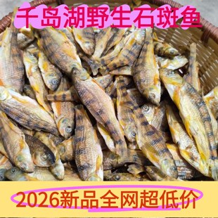 ǧ�u���خa�r������Ұ��ʯ���~��ˮС�~�ɻ��~��Ұ��ʯ���~��