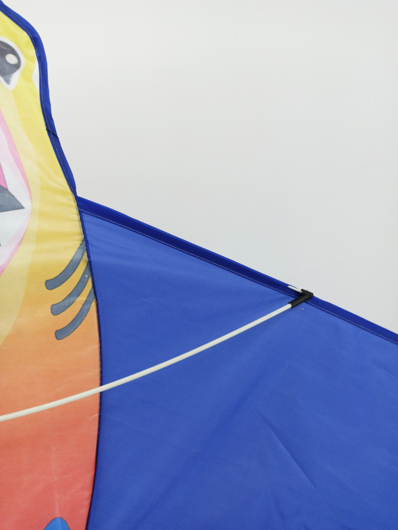 SDL热印鲨鱼蓝色 (5).jpg