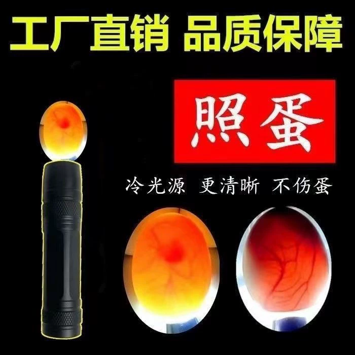 Яйцо-устройство инкубатор можно заряжать LED-фонарик маленький яичный осмотр машинка Руидиня скорость оплодотворения яйца, лампа для яйца оптом