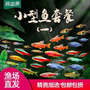 �Ꭷ�^�p���~���B��ɏ�����R��ˮ���~����ʹ��ȸС�ͼt�G����С�~