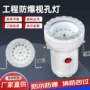 密封防爆12v24v36v220v反应釜探照灯