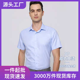 男士DP成衣免烫短袖衬衫商务男装100S双股纯棉纯色衬衣现货批发