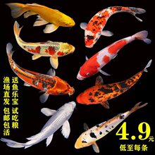 ���~�\���^�p�~�䵭ˮ���~�����С�ͺ��B�ͻ�N�~���ȸ�~����