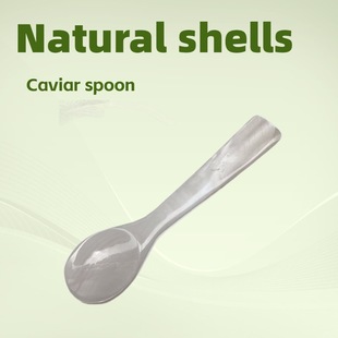 Foreign trade natural shell spoon wholesale caviar spoon coffee spoon seasoning spoon can be labeled packaging