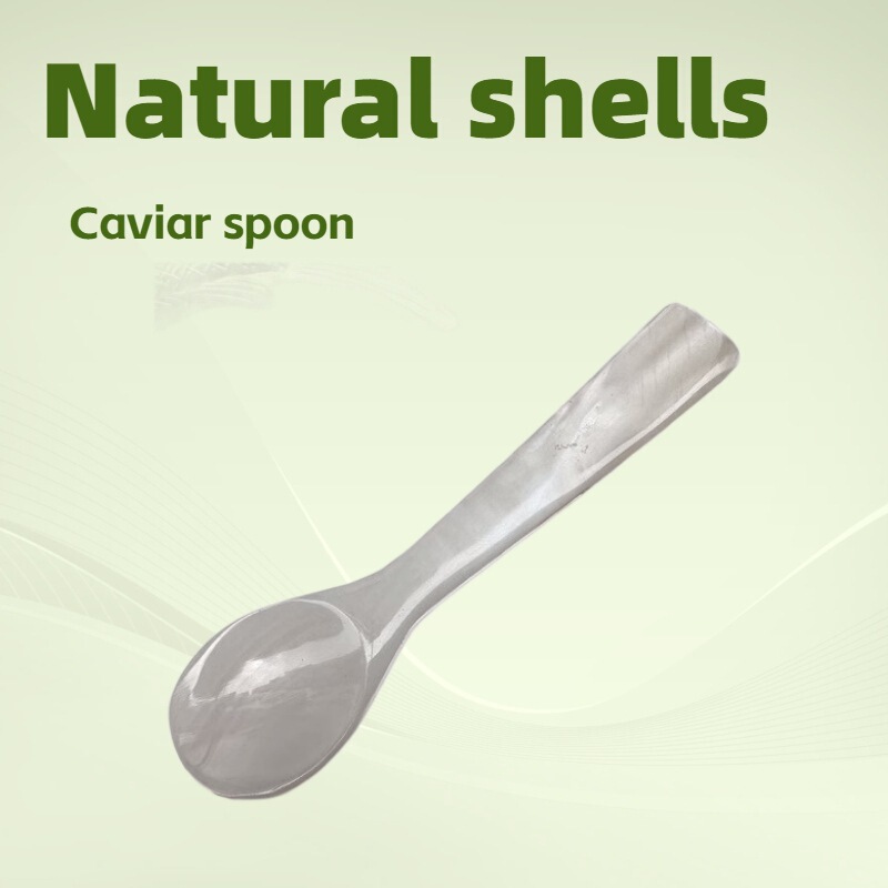 Natural Shell Spoons for Foreign Trade, Handmade Small Spoons, Wholesale in Large Quantities, Mask Spoons, Seasoning Spoons, Can Be Labeled and Packaged Natural Shell Spoons for Foreign Trade, Handmade Small Spoons, Wholesale in Large Quantities, Mask Spoons, Seasoning Spoons, Can Be Labeled and Packaged