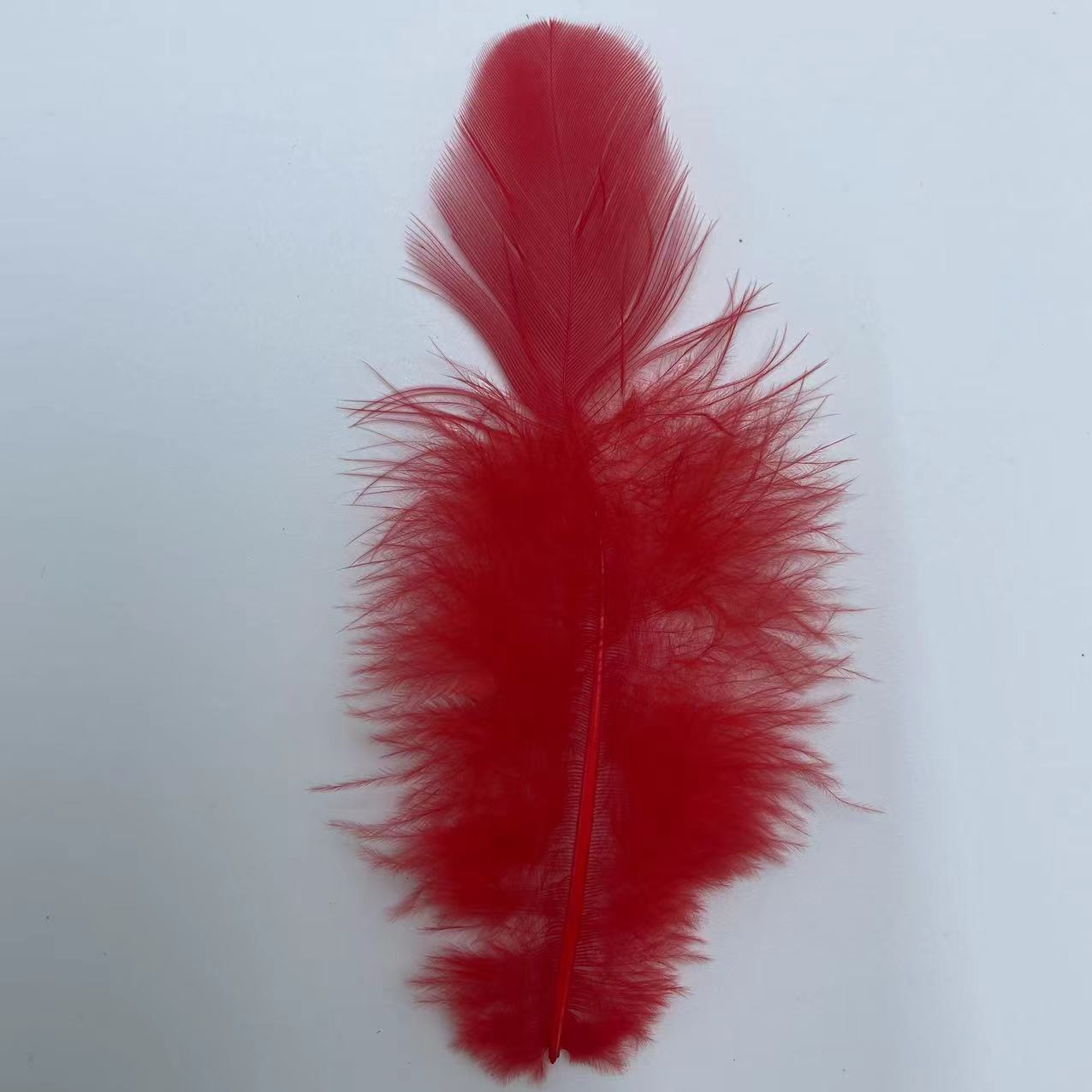 微信图片_20240419095126