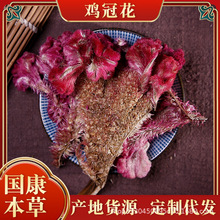 鸡冠花批发红鸡冠花花鸡髻花鸡冠头另有白鸡冠花代打粉 各种冷背