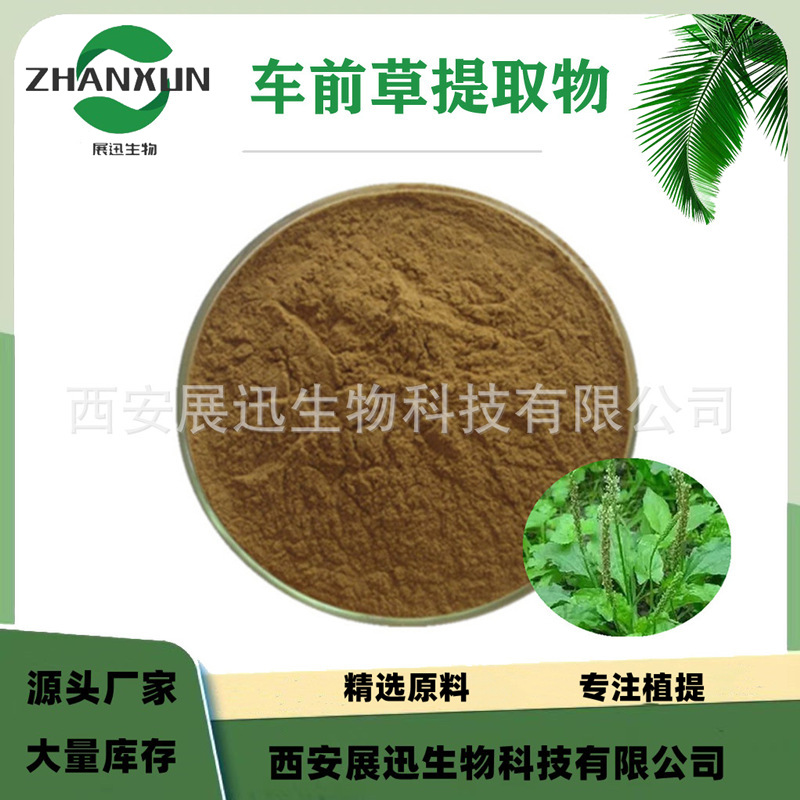 车前草提取物 10:1 地胆草 牛舌菜 展迅原料 另20/30/50：1规格