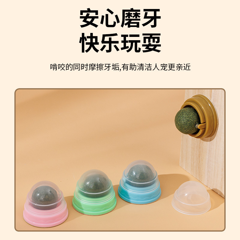 O1CN01rvQxne1swBseMEitI_!!2215