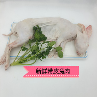 新鲜兔肉大号现杀冷冻生兔肉生鲜食用烧烤食材一只装-阿里巴巴