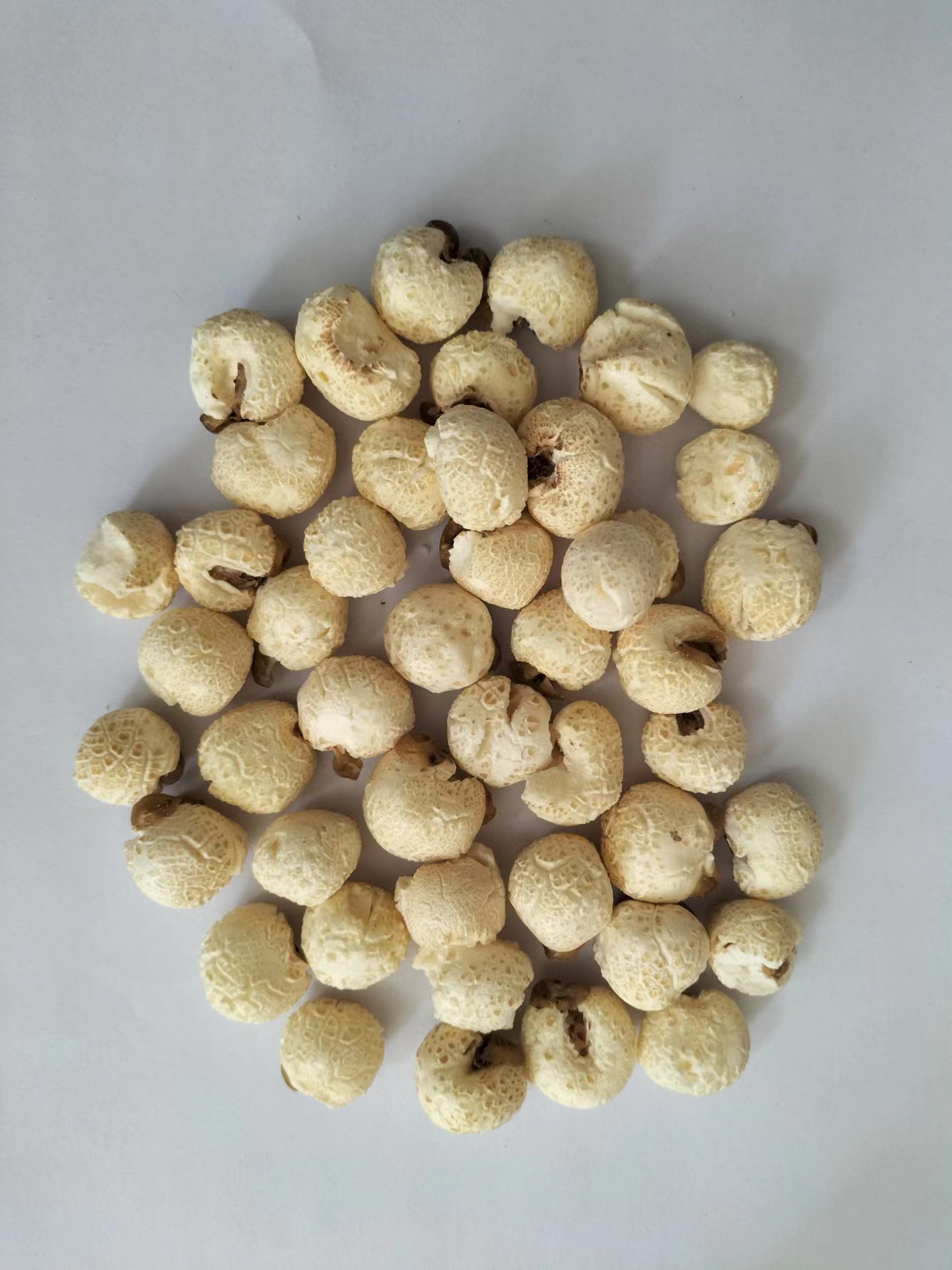 微信图片_20240307160914